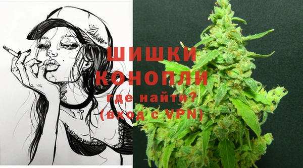 МДПВ Абаза