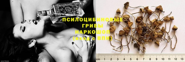 МДПВ Абаза